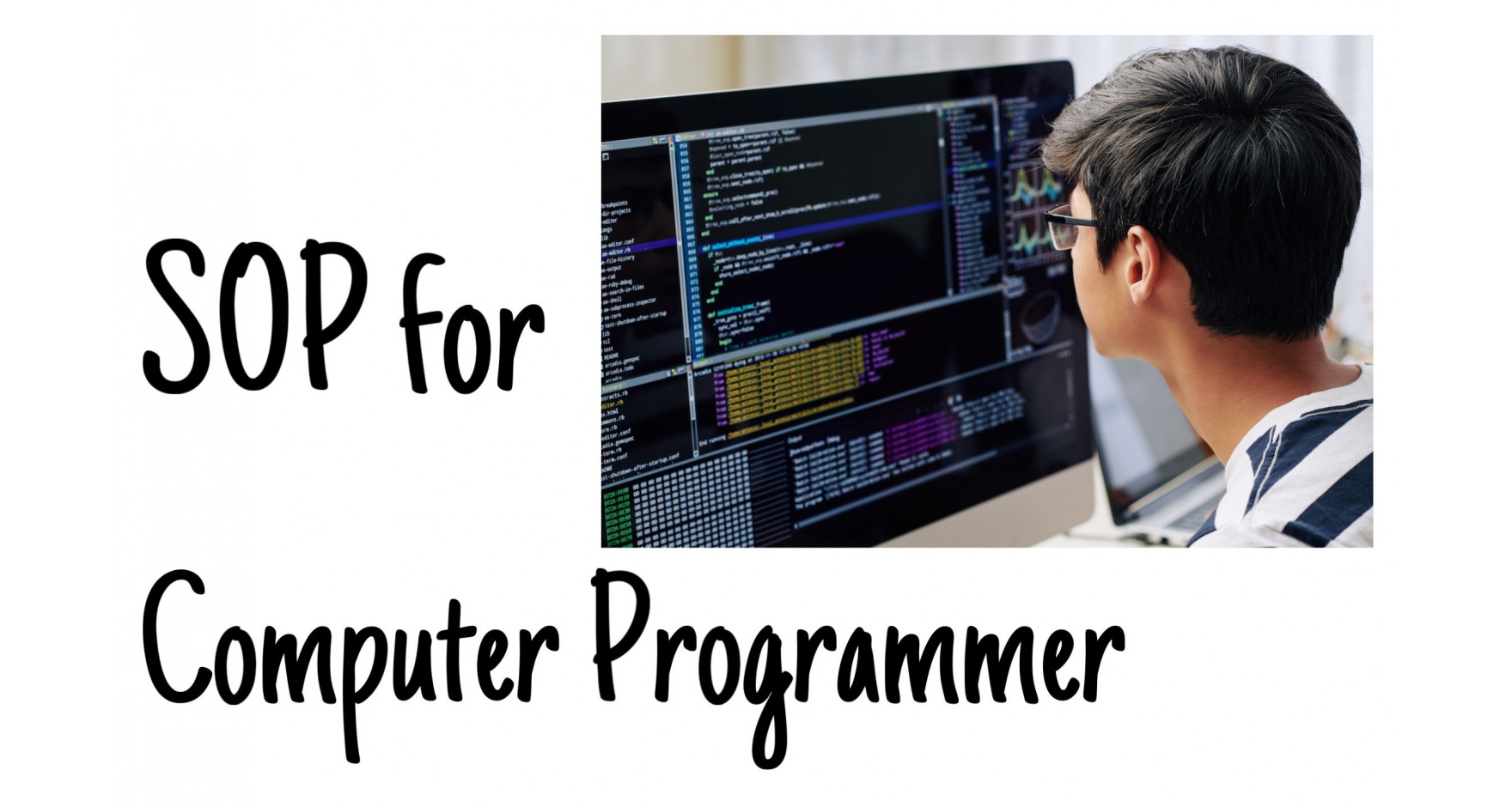 How to write SOP for Computer Programmer?