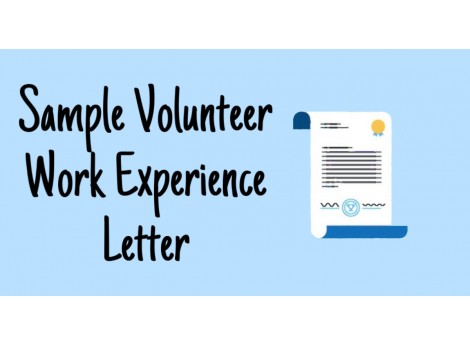 Sample Volunteer Work Experience Letter Format